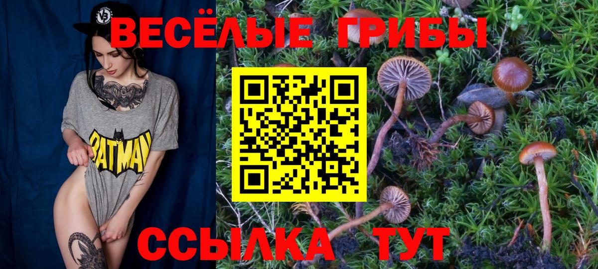 Канаш  Галлюциногенные грибы MAGIC MUSHROOMS  купить закладку  Вход с VPN 