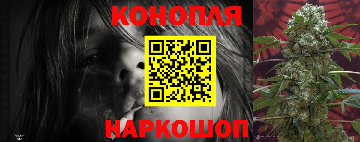 Шишки марихуана MAZAR  Вход с VPN  Канаш  Марихуана планчик  Конопля White Widow 